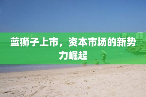 蓝狮子上市，资本市场的新势力崛起