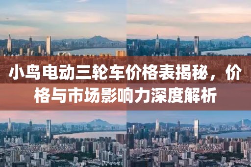 小鸟电动三轮车价格表揭秘，价格与市场影响力深度解析