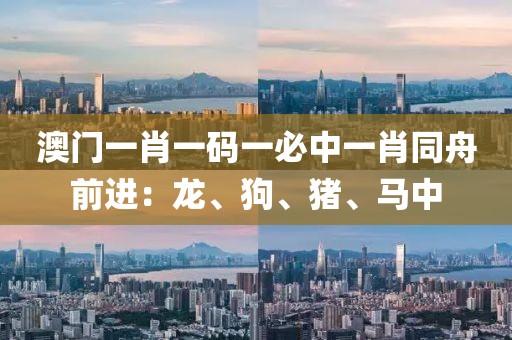 澳门一肖一码一必中一肖同舟前进：龙、狗、猪、马中