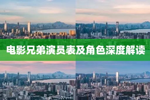 电影兄弟演员表及角色深度解读