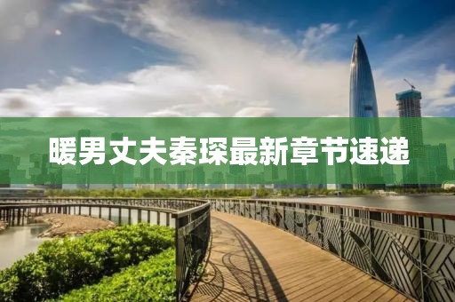 暖男丈夫秦琛最新章节速递