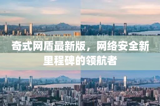 奇式网盾最新版，网络安全新里程碑的领航者