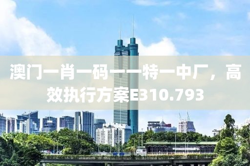 澳门一肖一码一一特一中厂，高效执行方案E310.793