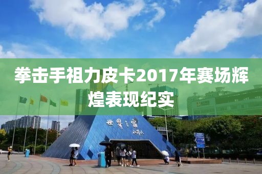 拳击手祖力皮卡2017年赛场辉煌表现纪实