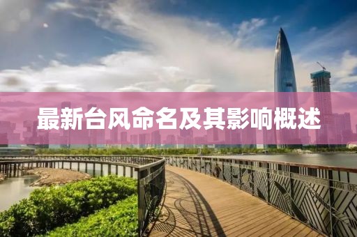 最新台风命名及其影响概述