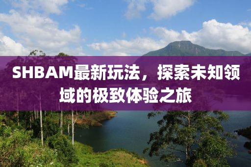 SHBAM最新玩法，探索未知领域的极致体验之旅
