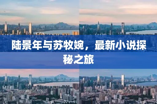 陆景年与苏牧婉，最新小说探秘之旅