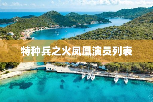 特种兵之火凤凰演员列表