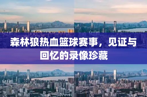 森林狼热血篮球赛事，见证与回忆的录像珍藏