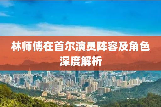 林师傅在首尔演员阵容及角色深度解析