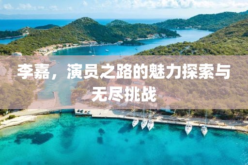 李嘉，演员之路的魅力探索与无尽挑战