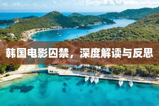 韩国电影囚禁，深度解读与反思