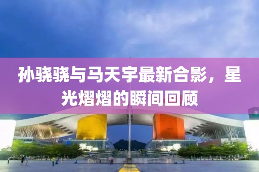 孙骁骁与马天宇最新合影，星光熠熠的瞬间回顾