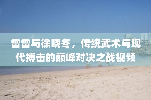 雷雷与徐晓冬，传统武术与现代搏击的巅峰对决之战视频