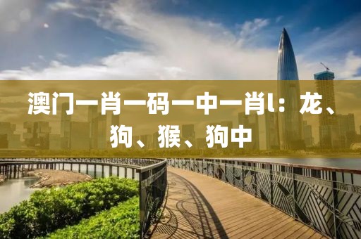 澳门一肖一码一中一肖l：龙、狗、猴、狗中