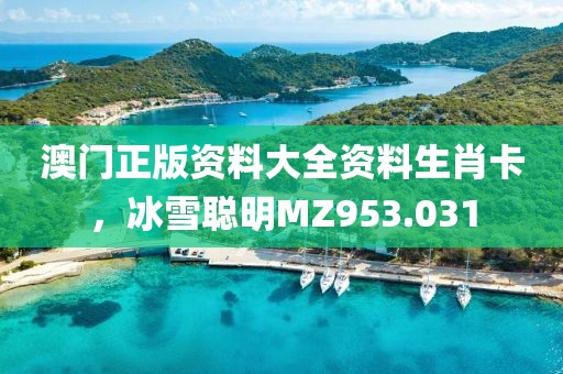 澳门正版资料大全资料生肖卡，冰雪聪明MZ953.031