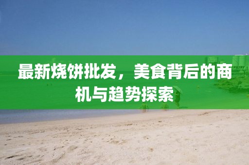 最新烧饼批发，美食背后的商机与趋势探索