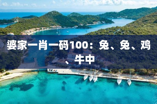 婆家一肖一码100：兔、兔、鸡、牛中