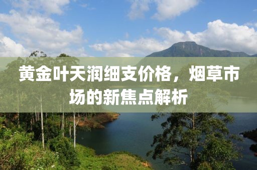 黄金叶天润细支价格，烟草市场的新焦点解析