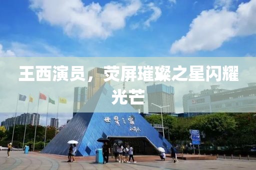 王西演员，荧屏璀璨之星闪耀光芒