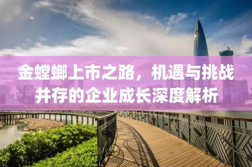 金螳螂上市之路，机遇与挑战并存的企业成长深度解析