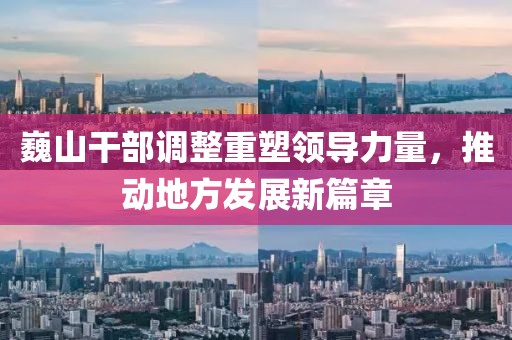巍山干部调整重塑领导力量，推动地方发展新篇章
