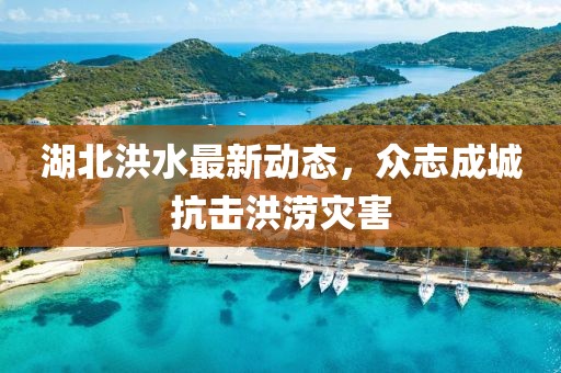 湖北洪水最新动态，众志成城抗击洪涝灾害
