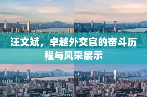 汪文斌，卓越外交官的奋斗历程与风采展示