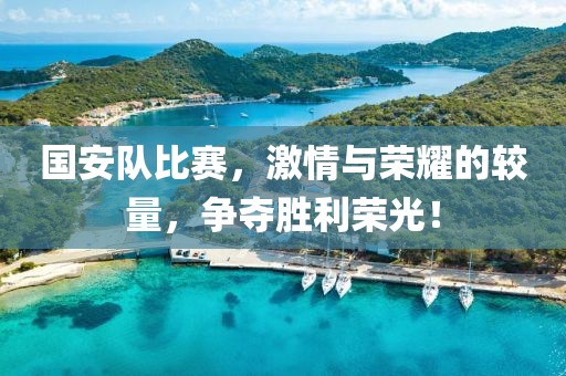 国安队比赛，激情与荣耀的较量，争夺胜利荣光！