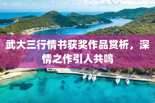 武大三行情书获奖作品赏析，深情之作引人共鸣