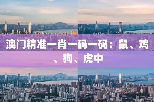 澳门精准一肖一码一码：鼠、鸡、狗、虎中