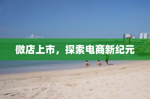 微店上市，探索电商新纪元