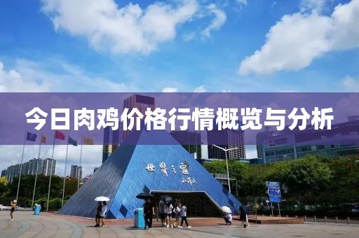 今日肉鸡价格行情概览与分析