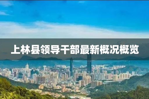 上林县领导干部最新概况概览
