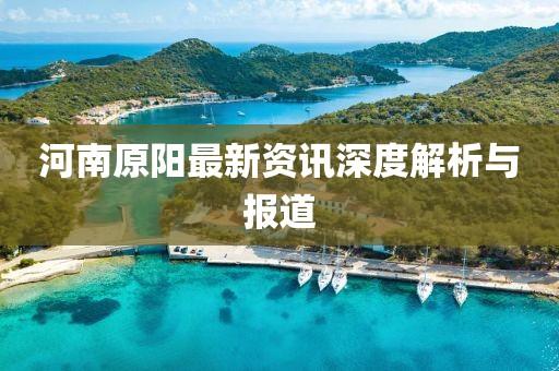 河南原阳最新资讯深度解析与报道