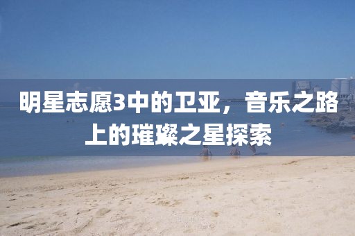 明星志愿3中的卫亚，音乐之路上的璀璨之星探索
