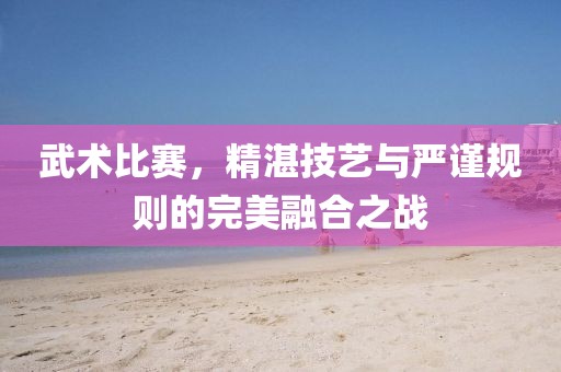 武术比赛，精湛技艺与严谨规则的完美融合之战