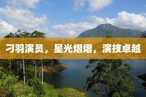刁羽演员，星光熠熠，演技卓越