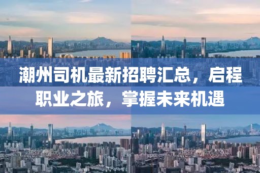 潮州司机最新招聘汇总，启程职业之旅，掌握未来机遇