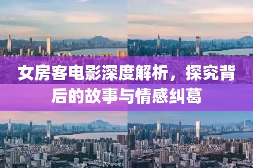 女房客电影深度解析，探究背后的故事与情感纠葛