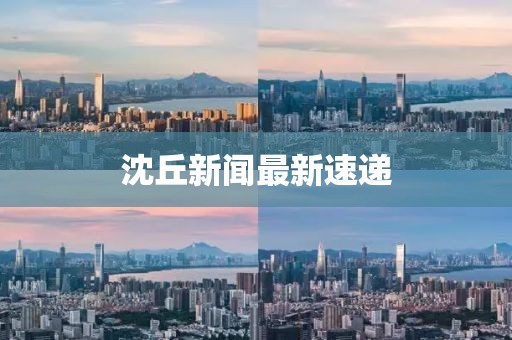 沈丘新闻最新速递