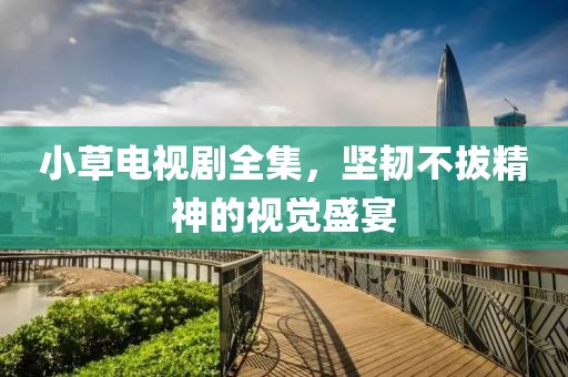 小草电视剧全集，坚韧不拔精神的视觉盛宴
