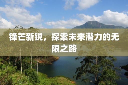 锋芒新锐，探索未来潜力的无限之路