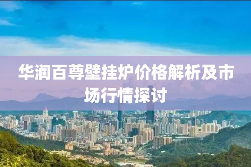 华润百尊壁挂炉价格解析及市场行情探讨