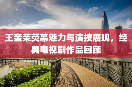王奎荣荧幕魅力与演技展现，经典电视剧作品回顾