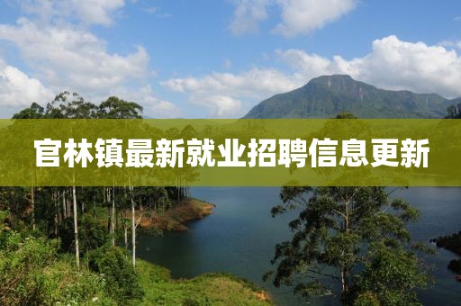 官林镇最新就业招聘信息更新