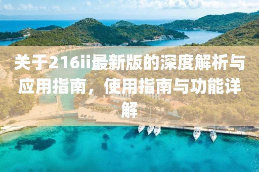 关于216ii最新版的深度解析与应用指南，使用指南与功能详解