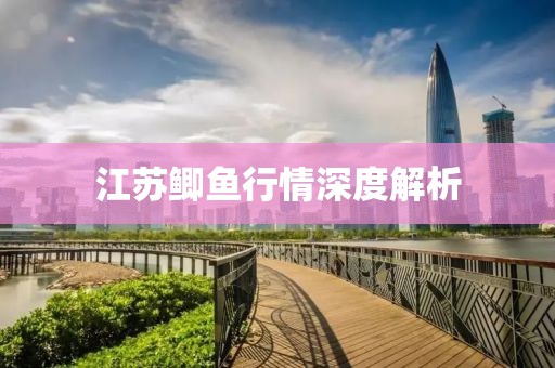 江苏鲫鱼行情深度解析