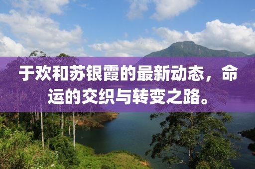 于欢和苏银霞的最新动态，命运的交织与转变之路。