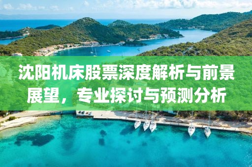 沈阳机床股票深度解析与前景展望，专业探讨与预测分析